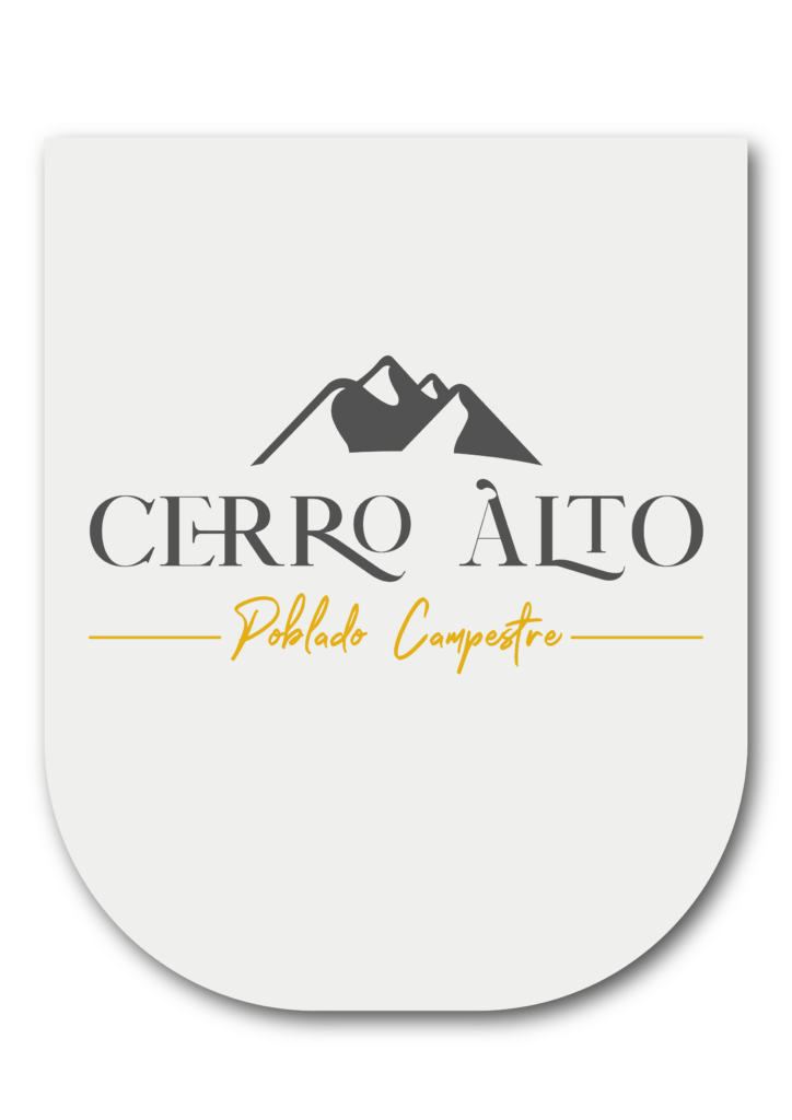 mesa de trabajo 1 copia 21landpg